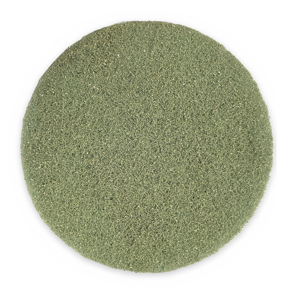 Diamond burnishing pad