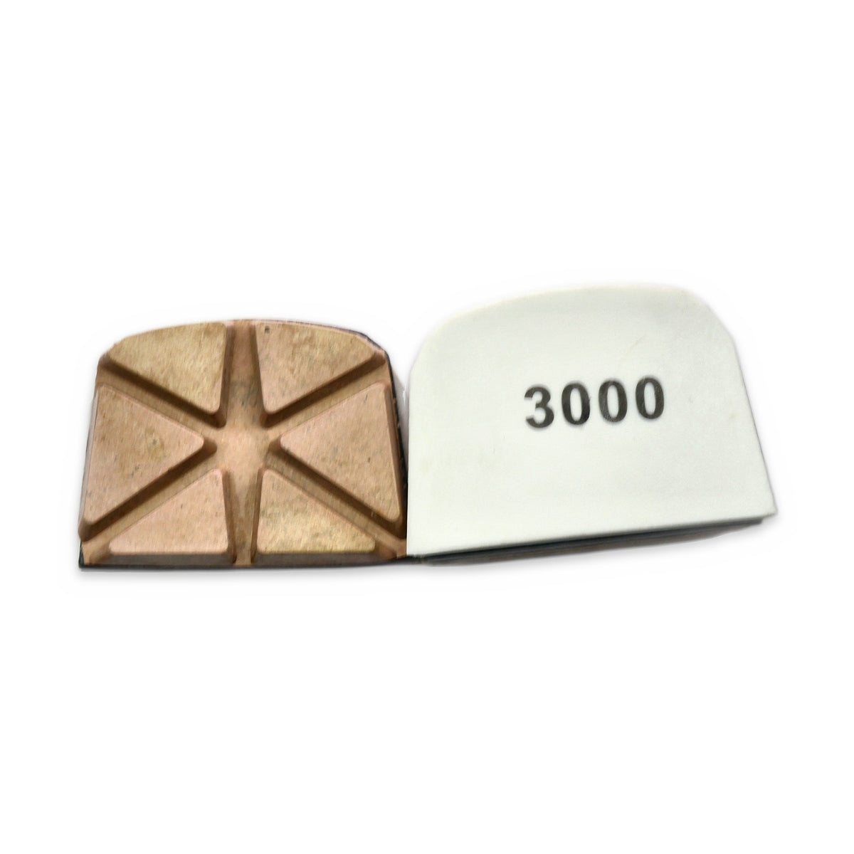 Lavina Backer Polishing Pads – Pro Diamond Tools
